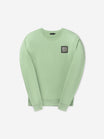 Loose-Fit Metal Crewneck | Sage Green